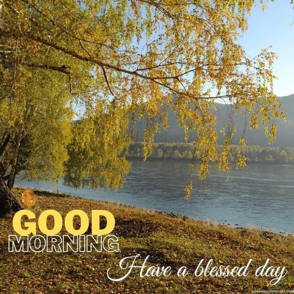 Green tree on bank of lake with green grass