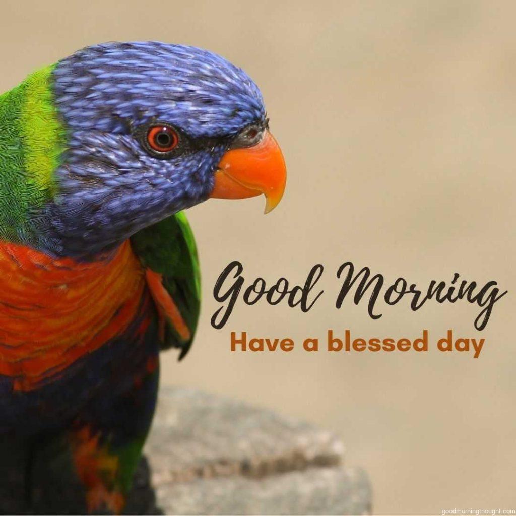 Colour bird on branch of tree. Blessed day greeting.