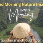 Good Morning Nature Image