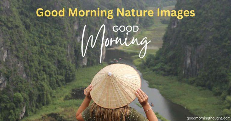 Good Morning Nature Image