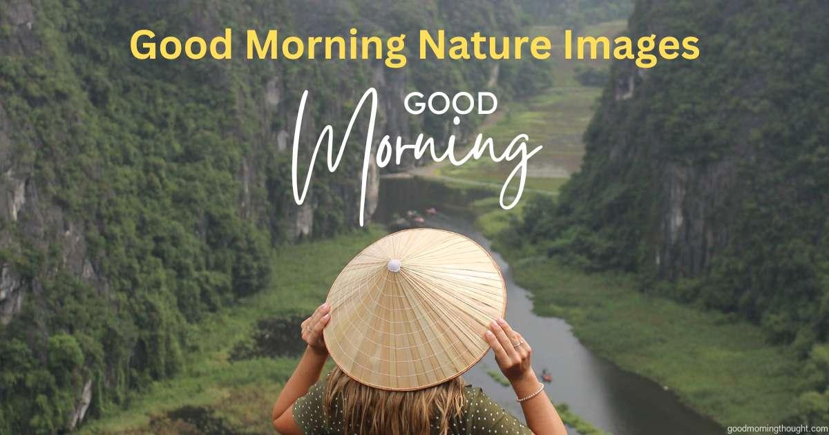 Good Morning Nature Image