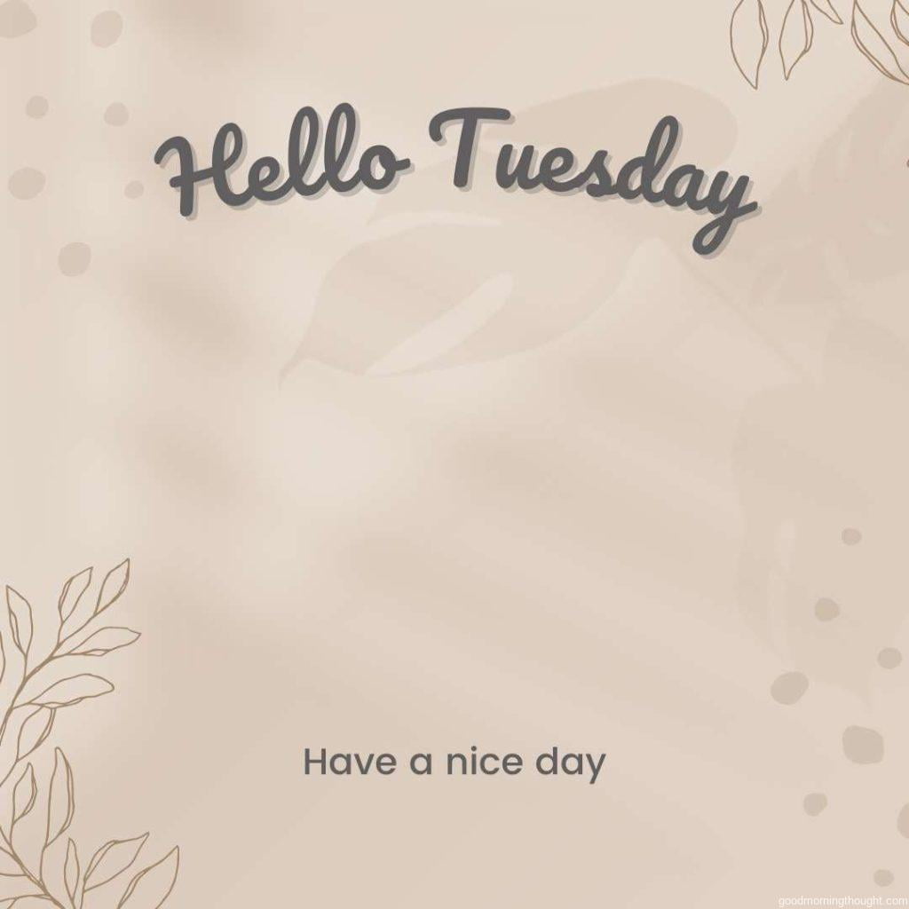 Hello Tuesday, Good Morning. Have A Beautiful Day in 2023  Good morning  tuesday images, Tuesday quotes good morning, Good morning tuesday