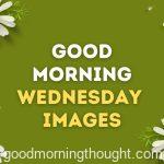 Good morning wednesday image with white and orange flower at corner of the image