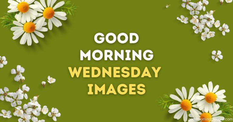 Good morning wednesday image with white and orange flower at corner of the image