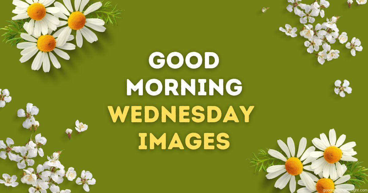 Good morning wednesday image with white and orange flower at corner of the image