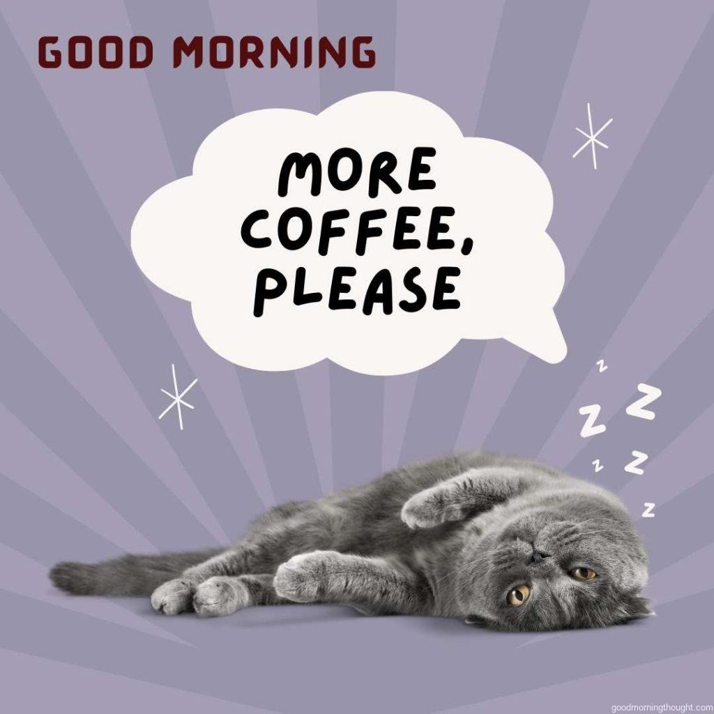 Cat lying on floor after drinking coffee meme