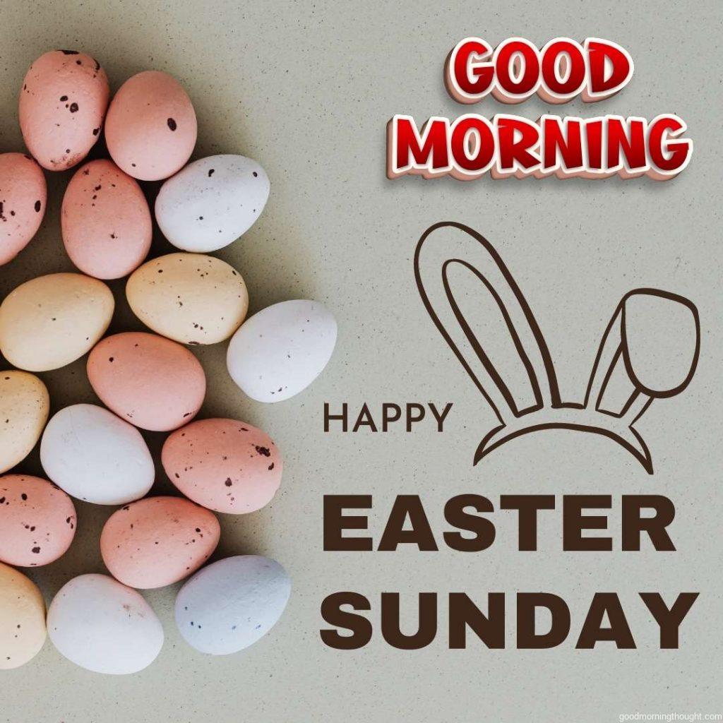 Ester eggs in pastel colour. Good Morning Sunday Image