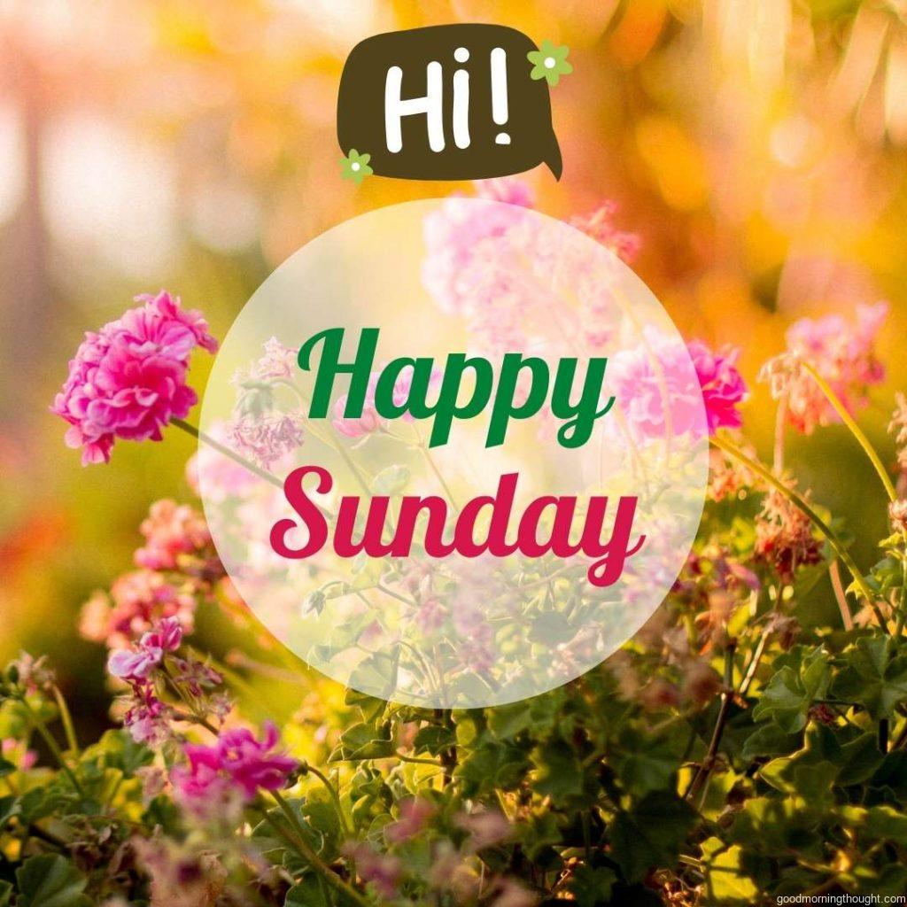 Good Morning Sunday message with beautiful floral background