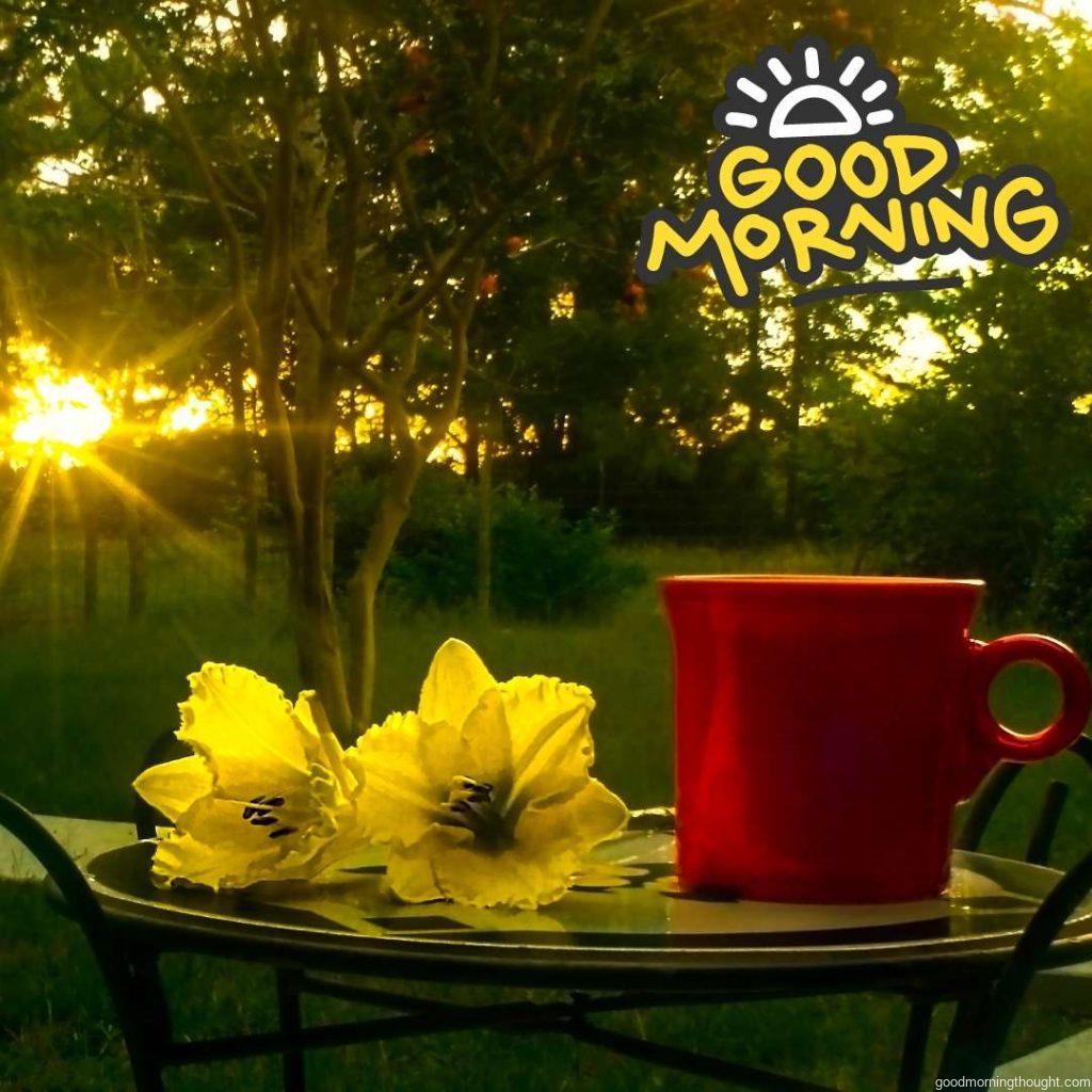 Red coffee cup with two daffodils backlit by morning sun. Outside photo