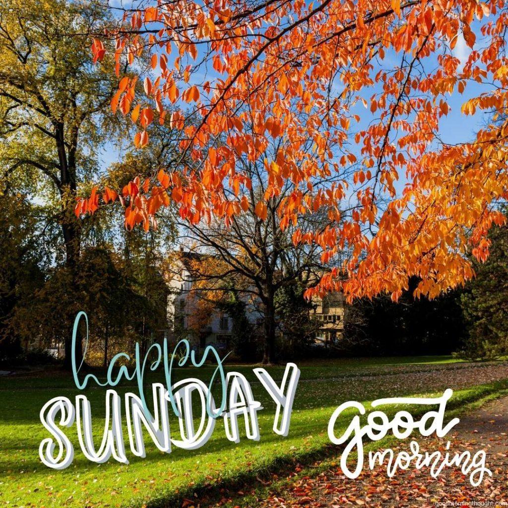 Sunday afternoon in autumn. Good Morning Sunday Image