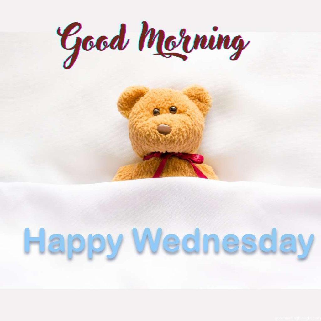 Teddy bear lying in the white bed with message 'Happy Wednesday'