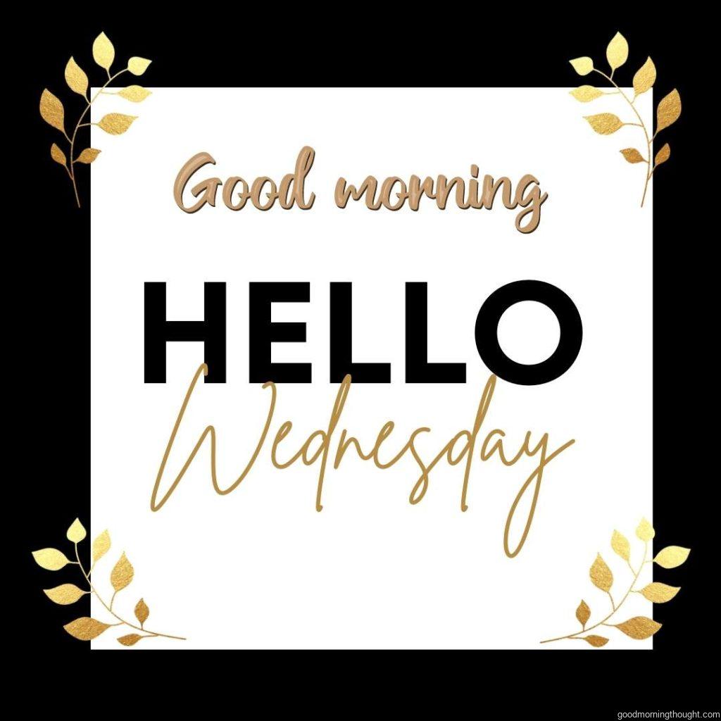 black background with white rectangle on it and gold botanical leaf on it and Good morning wednesday message