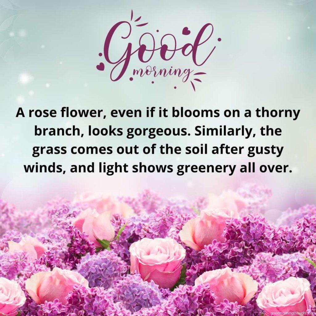 border of purple lilac flower with pink roses over gray background with morning quote