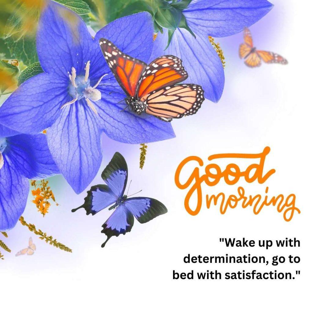 bouquet of bells and butterfly, floral background with lovely morning quote