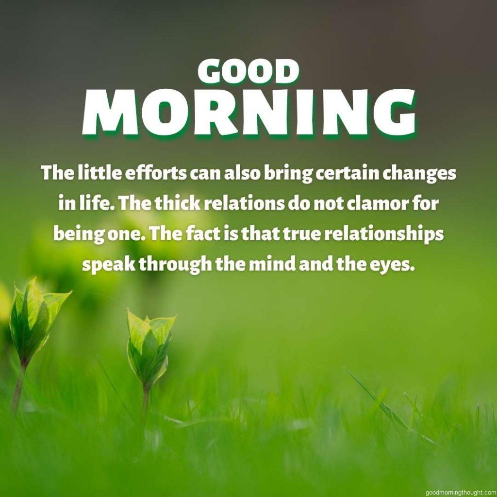 green spring growth at background with good morning text