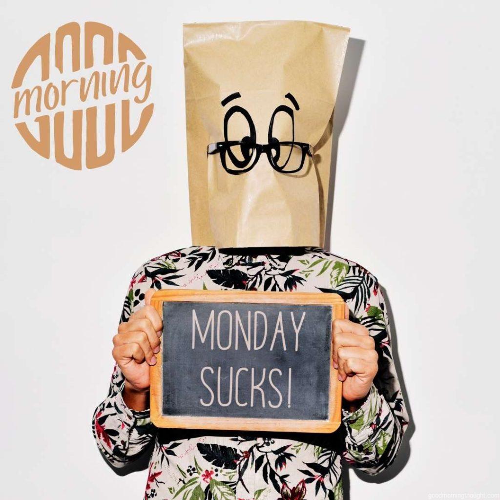 A young Caucasian man with a paper bag and a funky face in his head shows a chalkboard with the text _Monday Sucks._ Good morning, happy Monday image