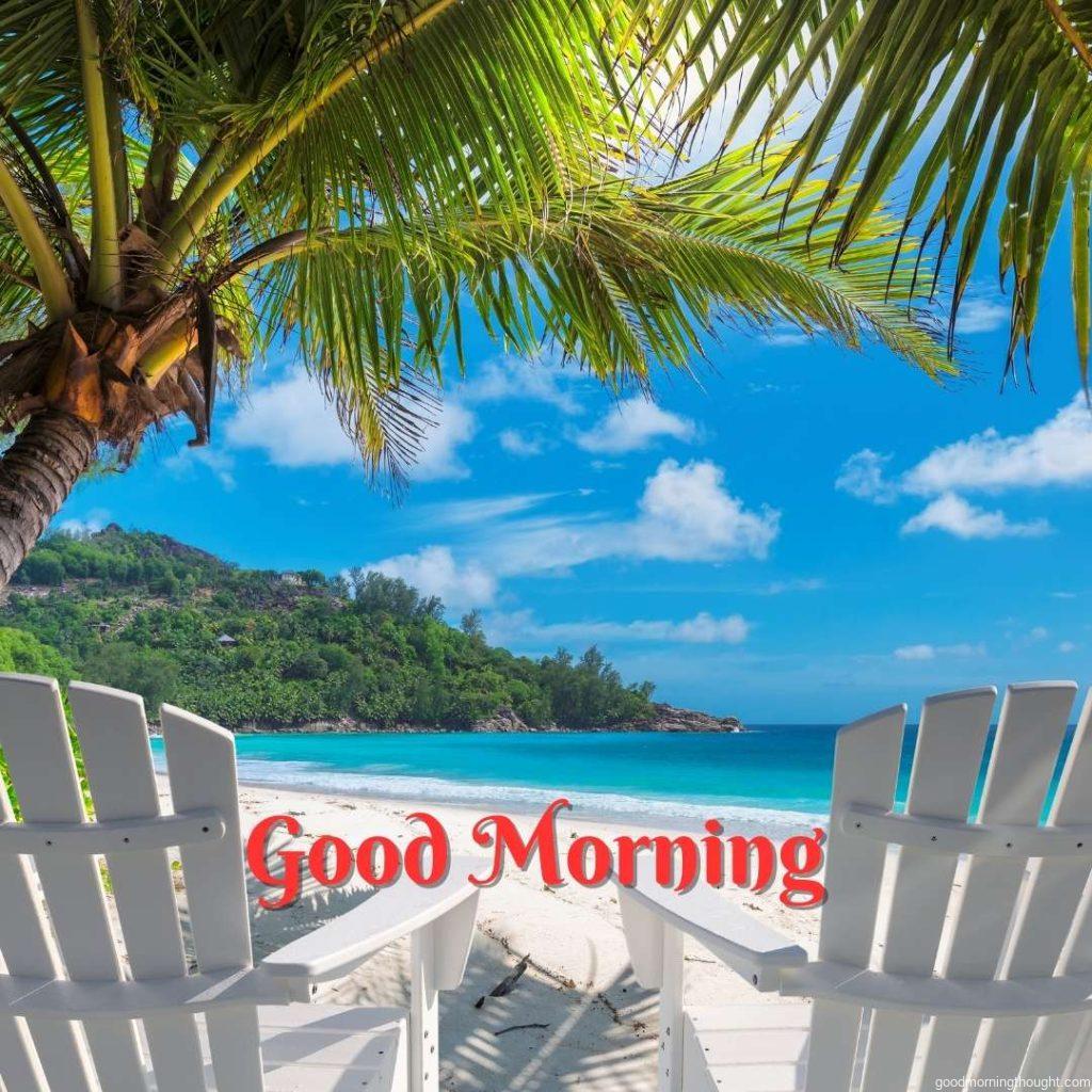 Beach chairs on a sandy beach with palm trees and a turquoise sea Summer vacation and travel concepts