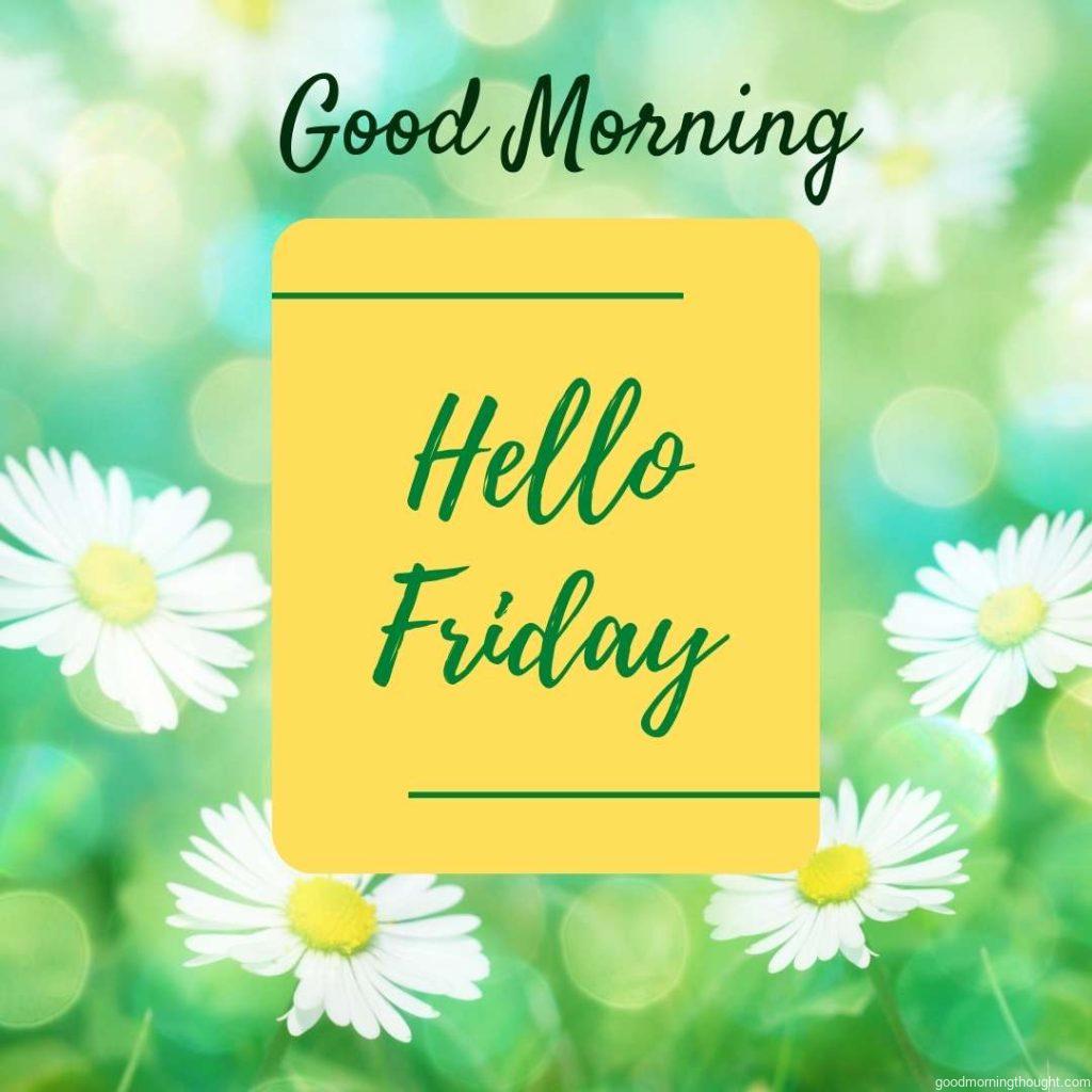 Beautiful spring background with green bokeh on which Good morning and Hello Friday text are written