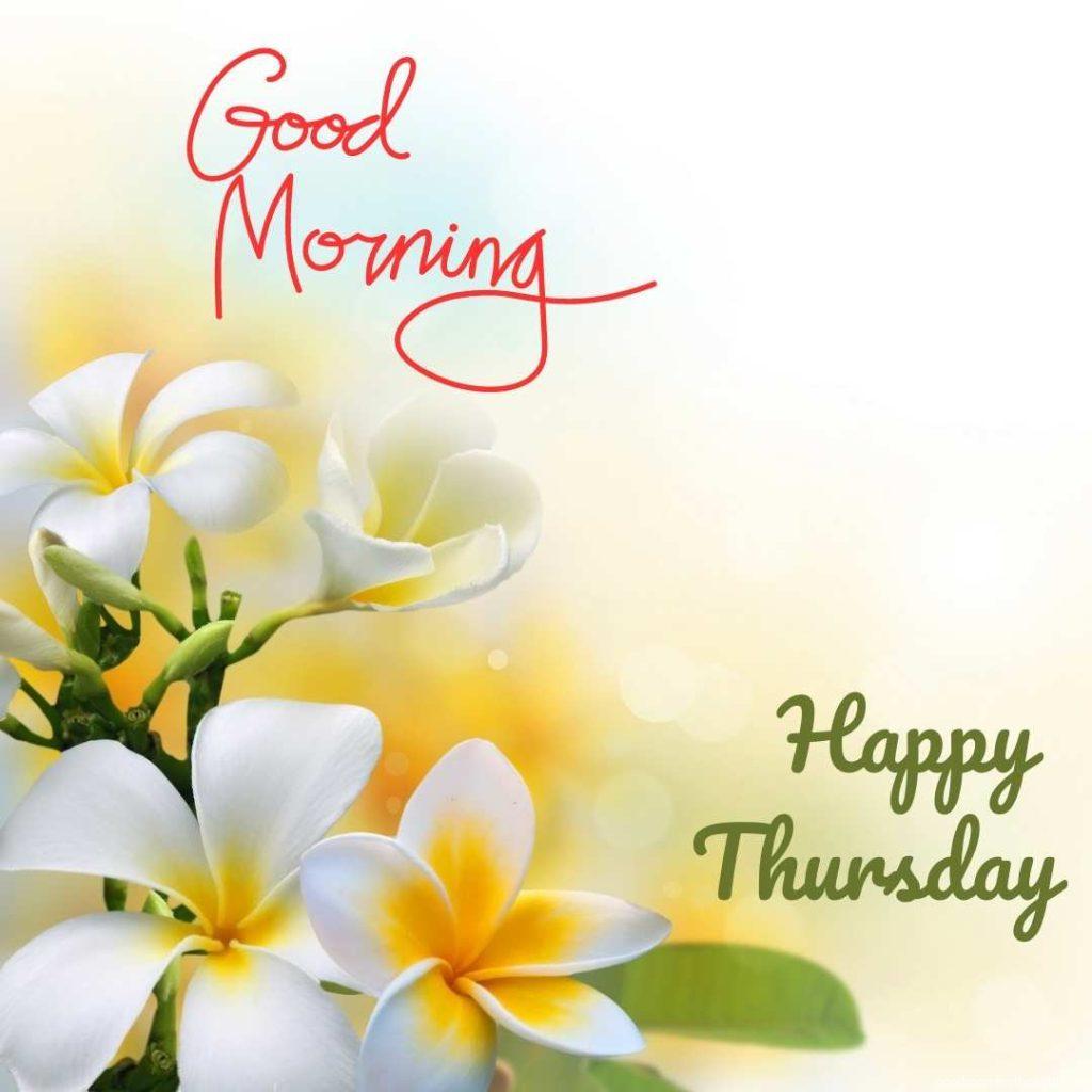 Good morning and happy Thursday message with sea background