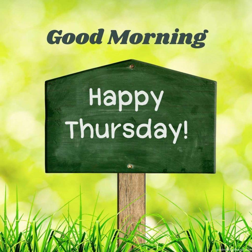 Green sign board with a natural background and message Happy Thursday