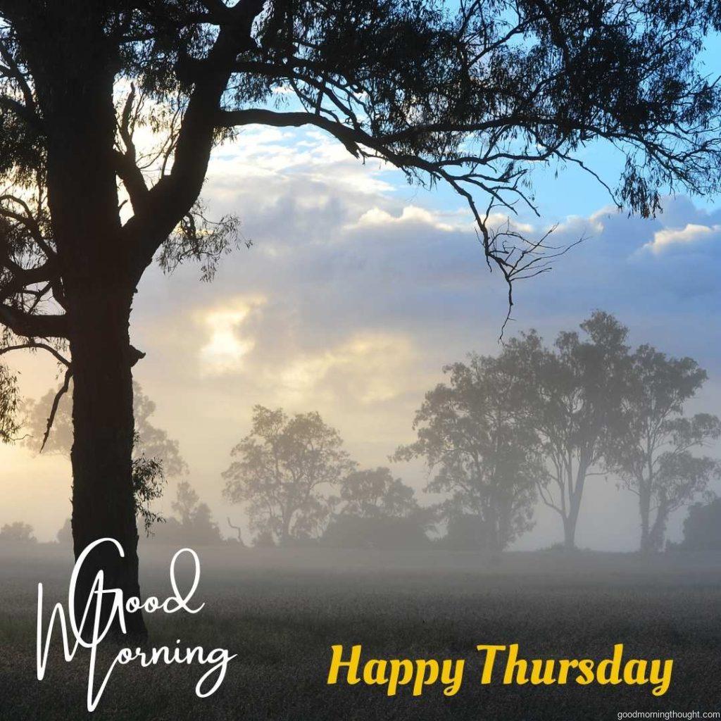 In the background, trees are seen through a clearing morning mist in Biggenden, Australia, with a _Good Morning, Happy Thursday_ text