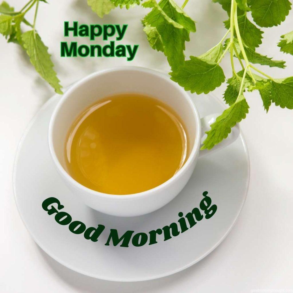 Lemon balm tea over white with _Good morning, happy Monday_ text