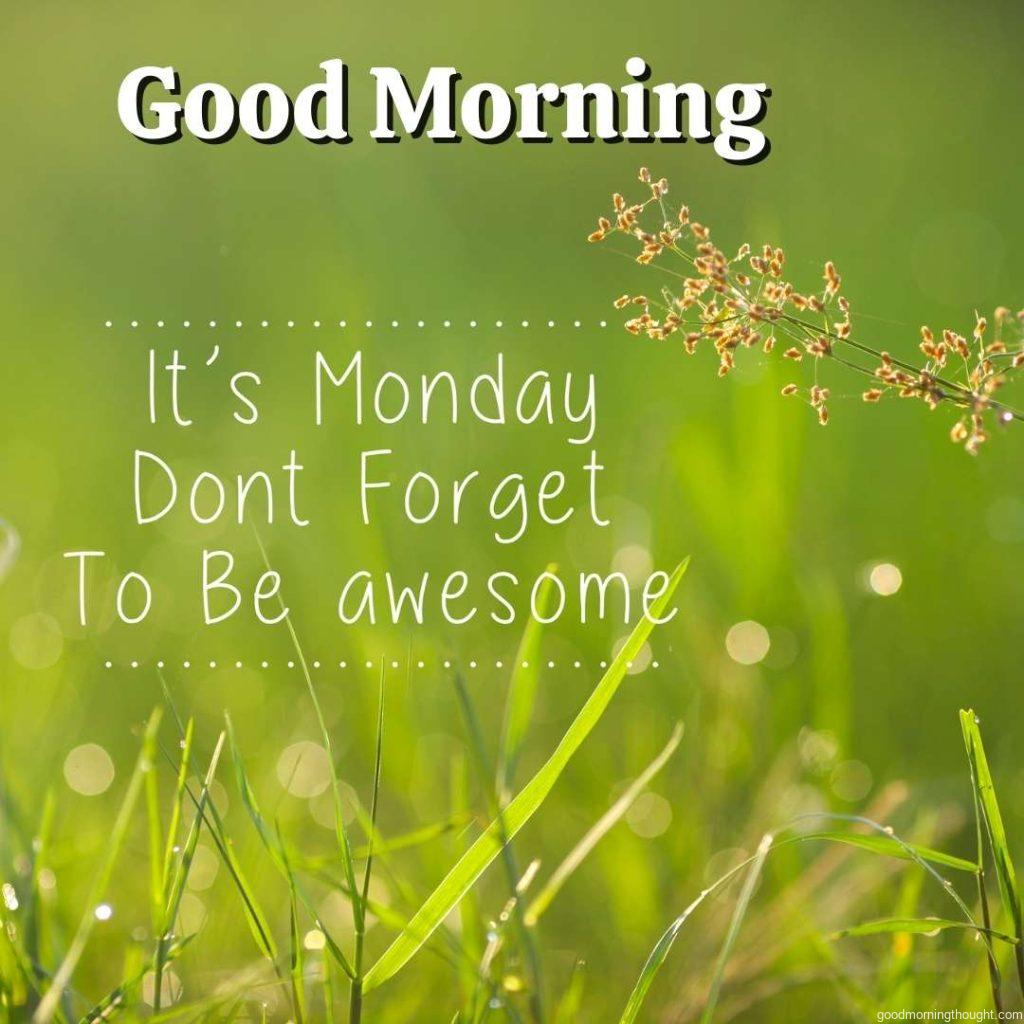 Monday inspirational greeting with Good Morning text_ _It's Monday; don't forget to be awesome