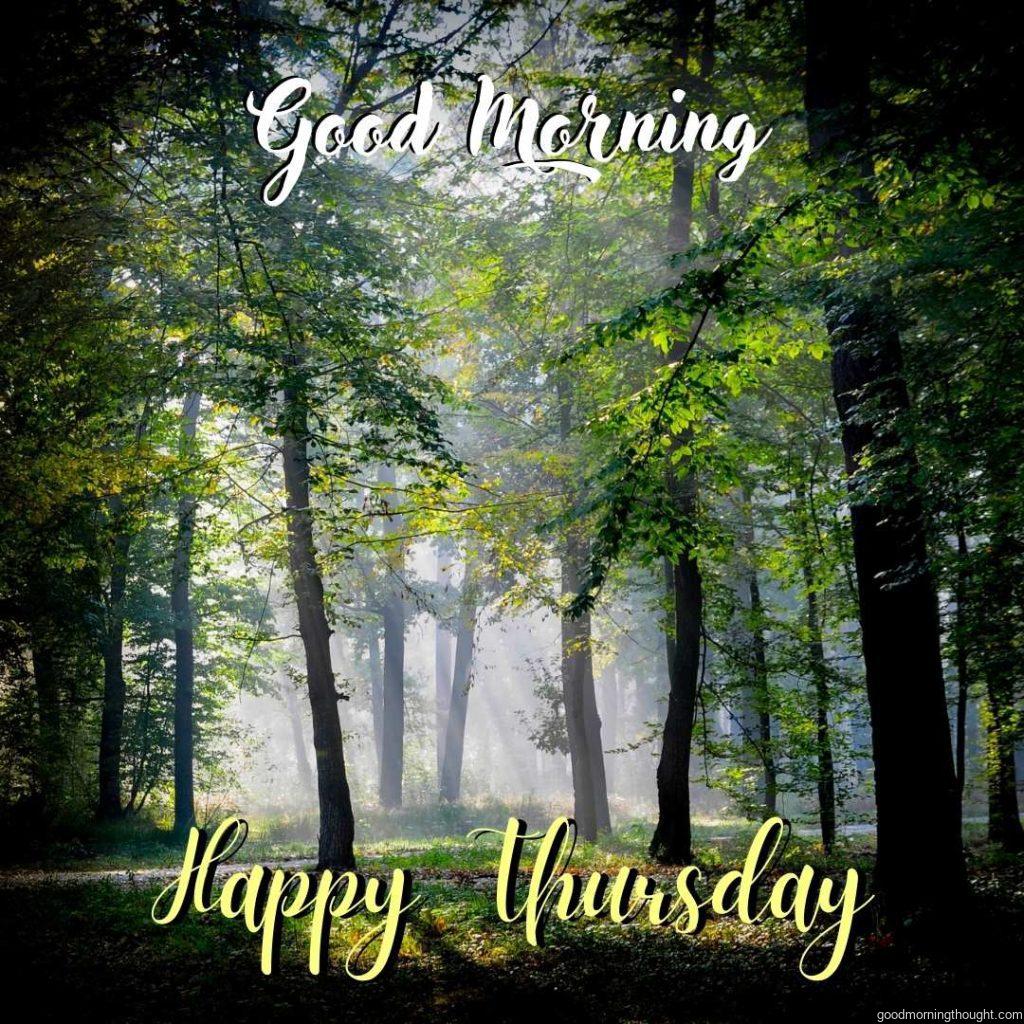 Morning in the forest in the background with a _Good Morning, Happy Thursday_ text