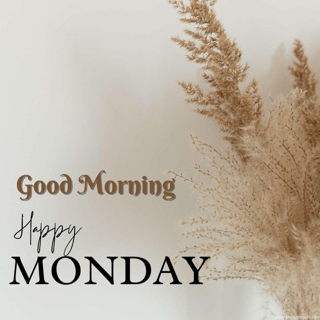 Reeds and foliage branches in a bouquet on a white background in a flat-lay, top-view floral design _Good morning, happy Monday_ text is written on it