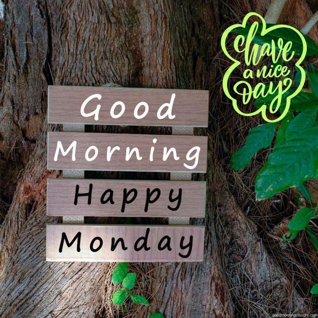 Text on a wooden frame lying on a tree trump - Good morning, happy Monday with the _have a nice day_ lettering phrase