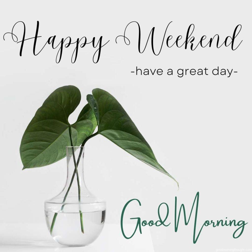 Vase of Leaves on a White Wall in the background, and _Happy Weekend, Good Morning,_ text