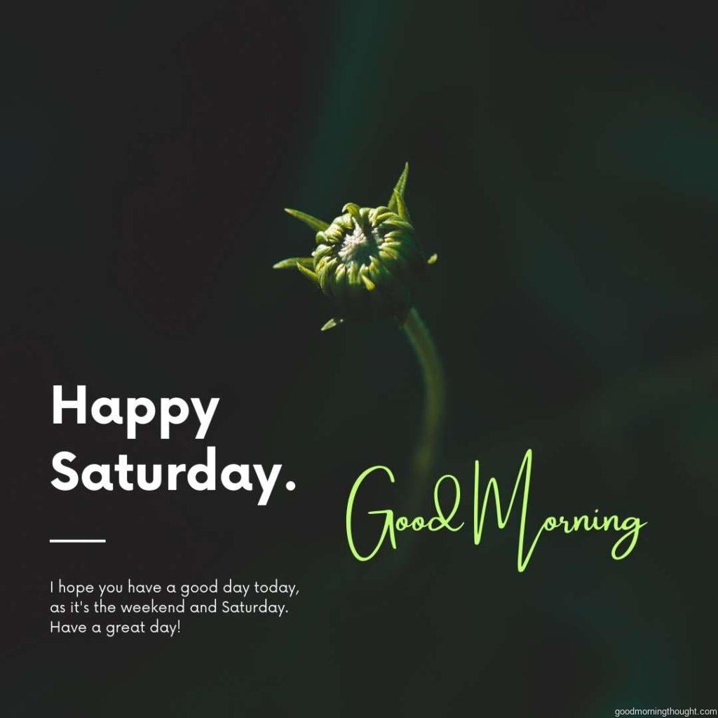 a close-up of a flower before dark, _Good Morning, Happy Saturday_ text