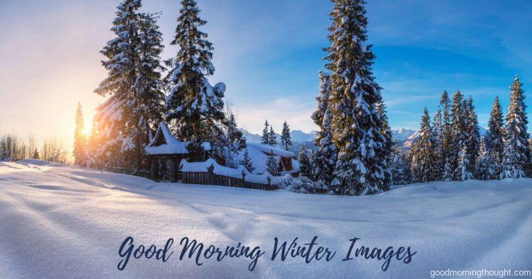 Winter landscape. Winter nature. Winter mountains. Pine trees covered by snow in a snowy valley at sunrise on Christmas morning Christmas background. Good morning, Winter Images.