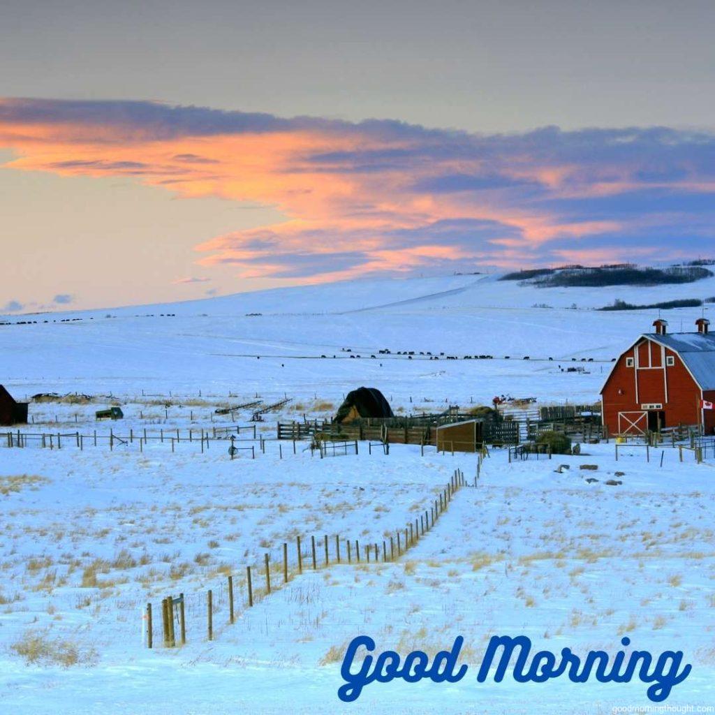 A farm on the prairie in Alberta, Canada._ Good morning, winter images