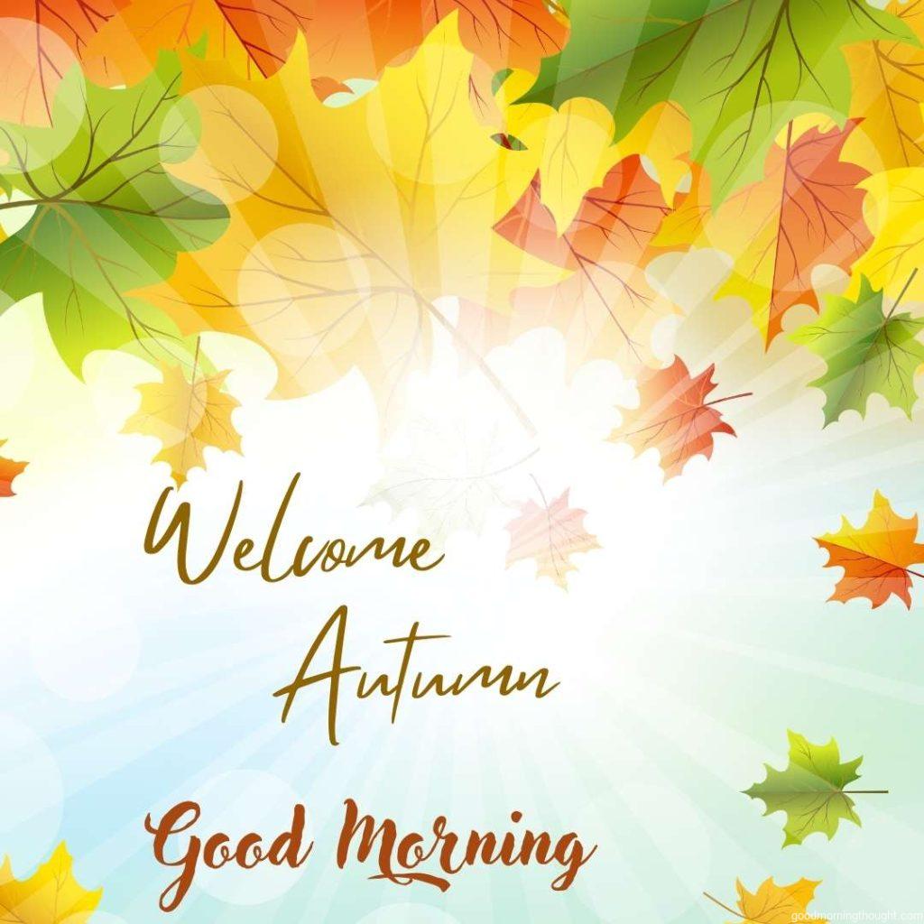 Autumn Frame Illustration_ Beautiful Autumn Good morning images