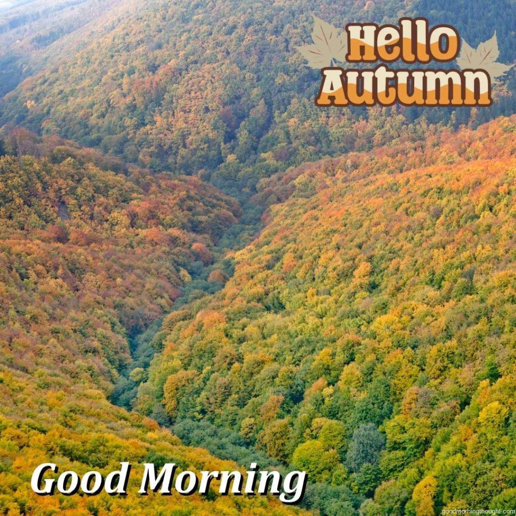 Autumn, Good morning text