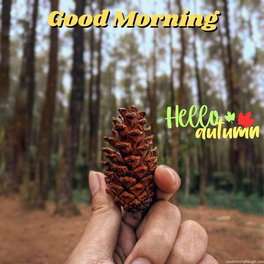 Autumn, Hello Autumn Lettering_ good morning text