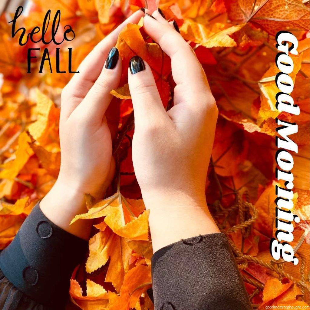 Autumn, Hello Fall, handwritten typography, lettering, Beautiful Autumn Good morning images