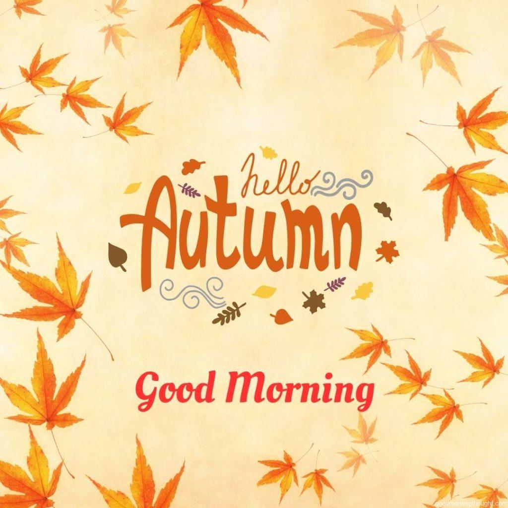 Autumn background, Hello Autumn Text Stickers, good morning text