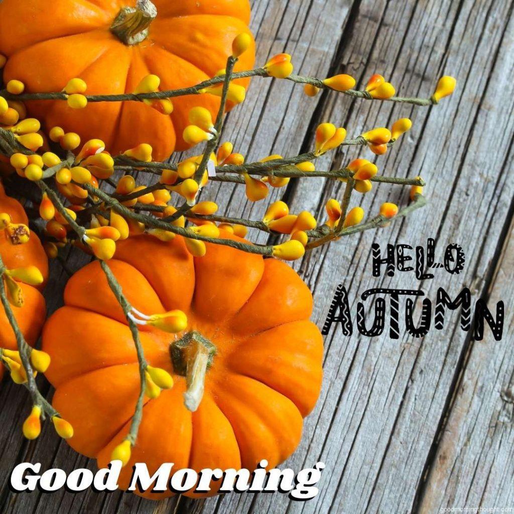 Autumn background or fall background with pumpkins on a rustic wooden background Beautiful Autumn Good morning images