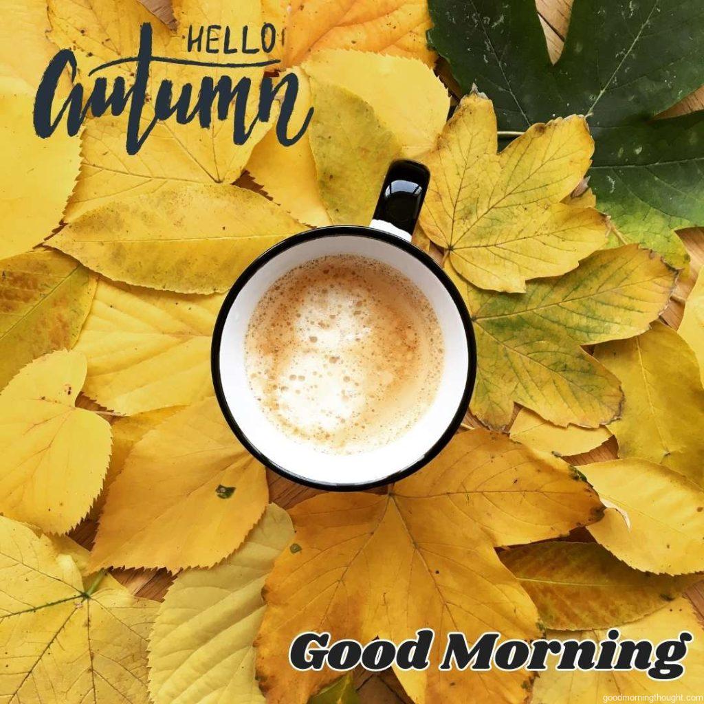 Autumn coffee, beautiful autumn Good morning images