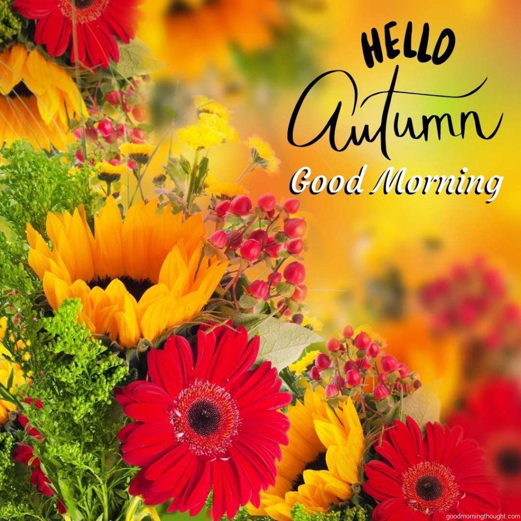 Autumn flowers, a bouquet of gerbera and sunflowers, Good morning text