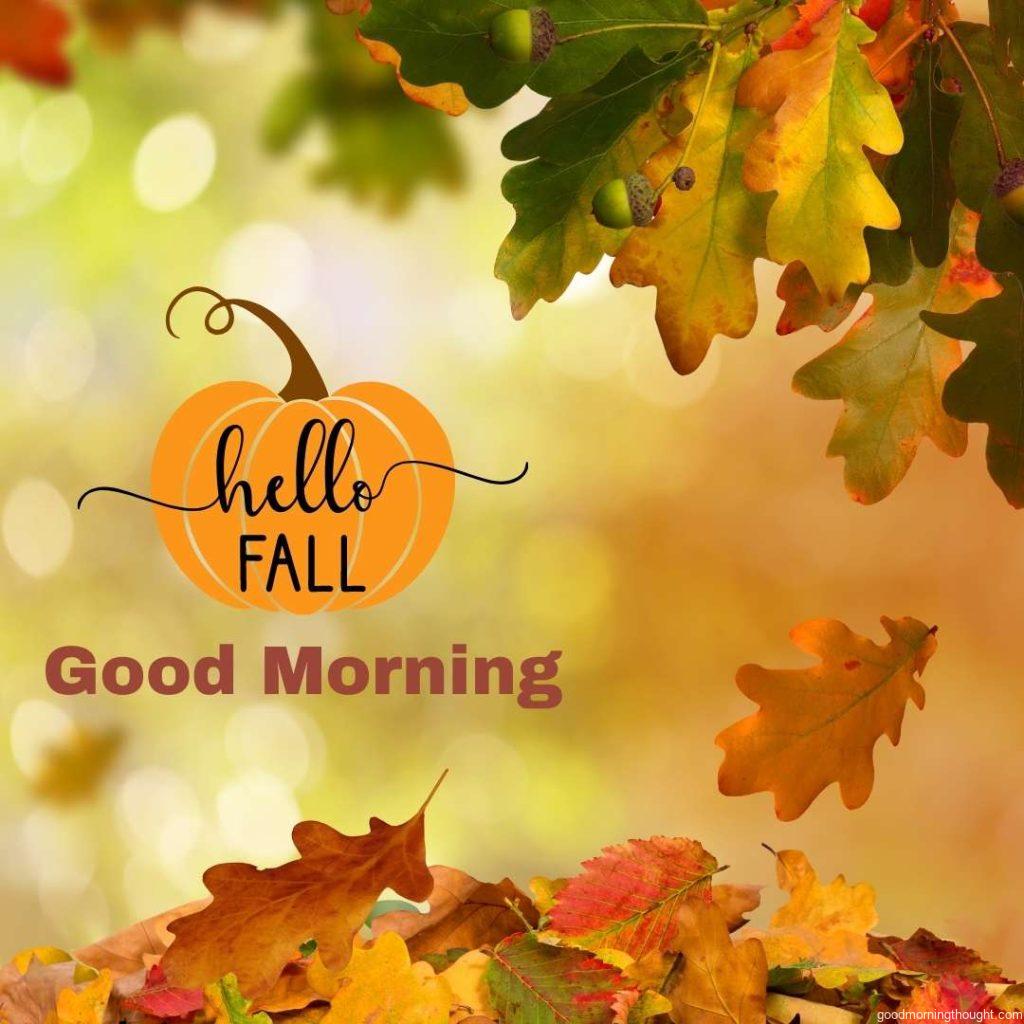 Autumn forest background with _Good Morning_ text written on it