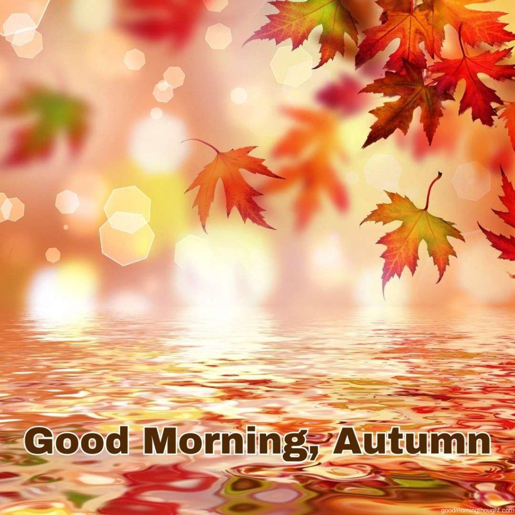 Autumn greeting with leaf fall, beautiful autumn Good morning images