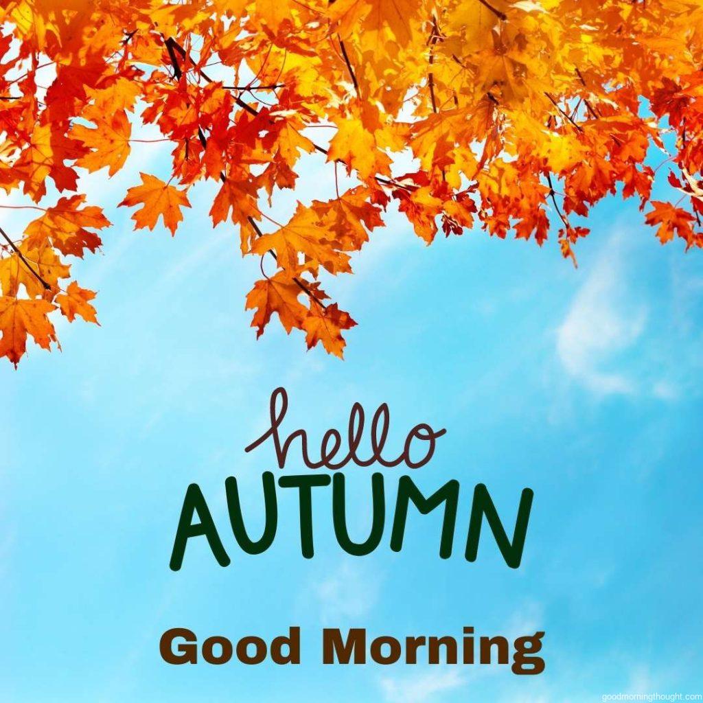 Autumn leaves with a blue sky background with _Good Morning_ text written on them