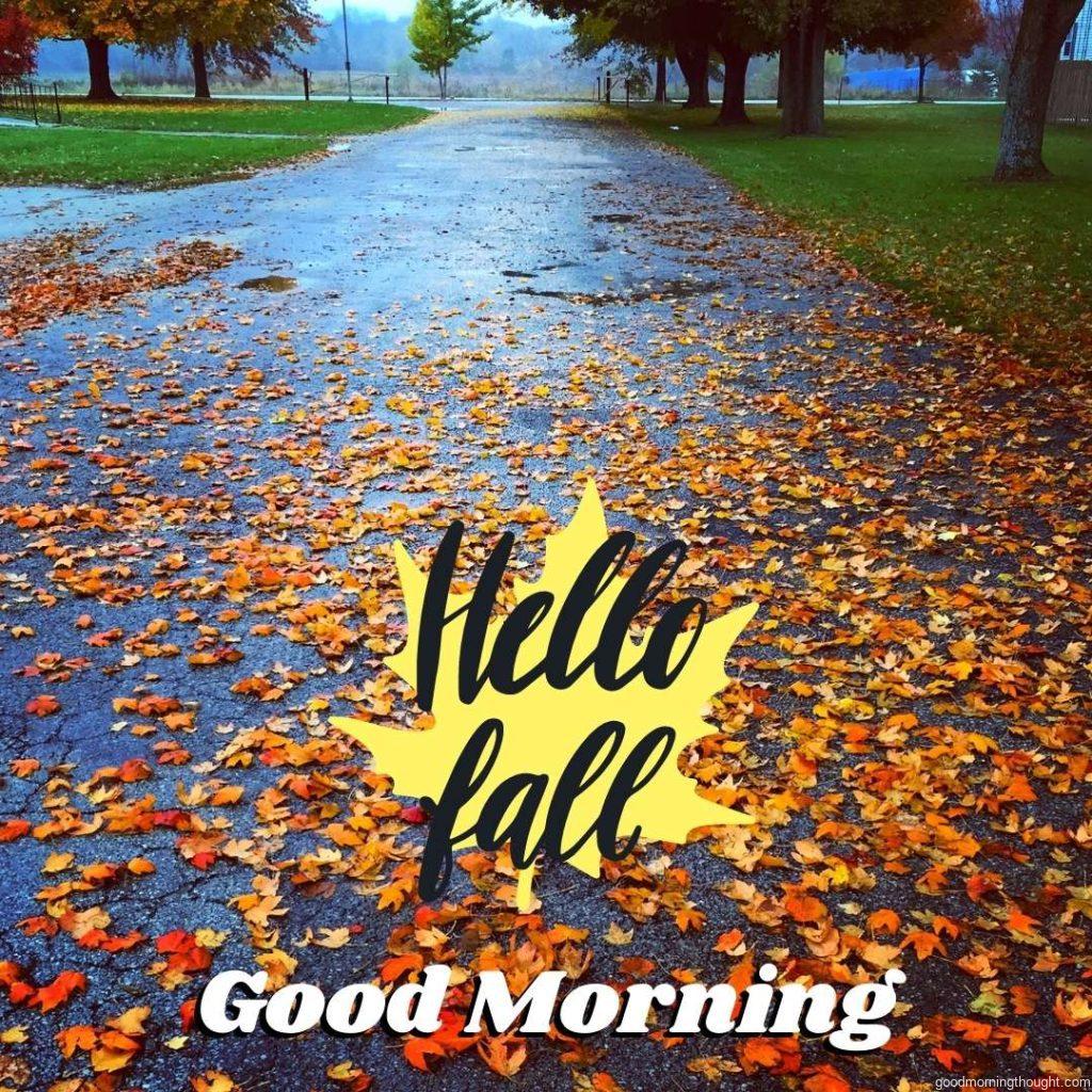 Autumn rain and wind paint the road. Beautiful Autumn Good morning images