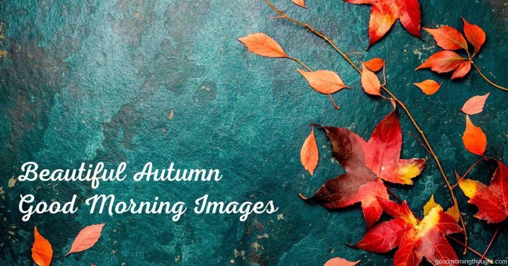 Autumn red leaves on a blue turquoise background, Beautiful Autumn Good morning images