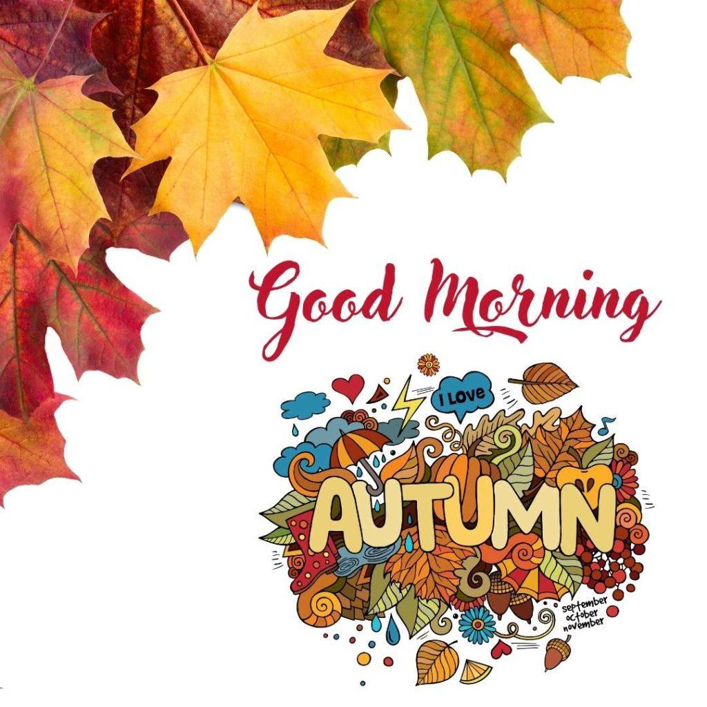 Autumn. Multi Coloured autumn leaves, with _Good Morning_ text written on them