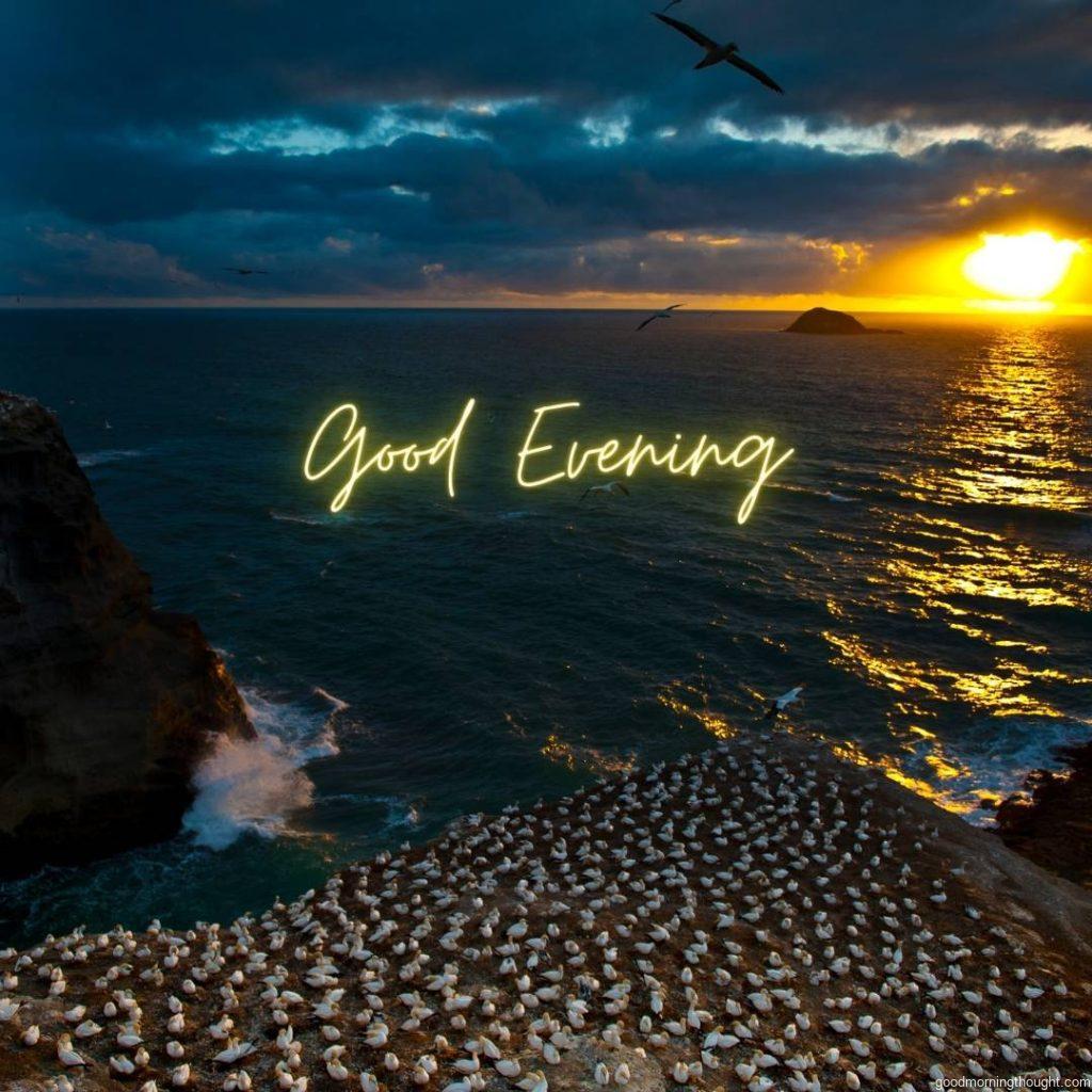 Good evening Muriwai with the _good evening_ text written on it