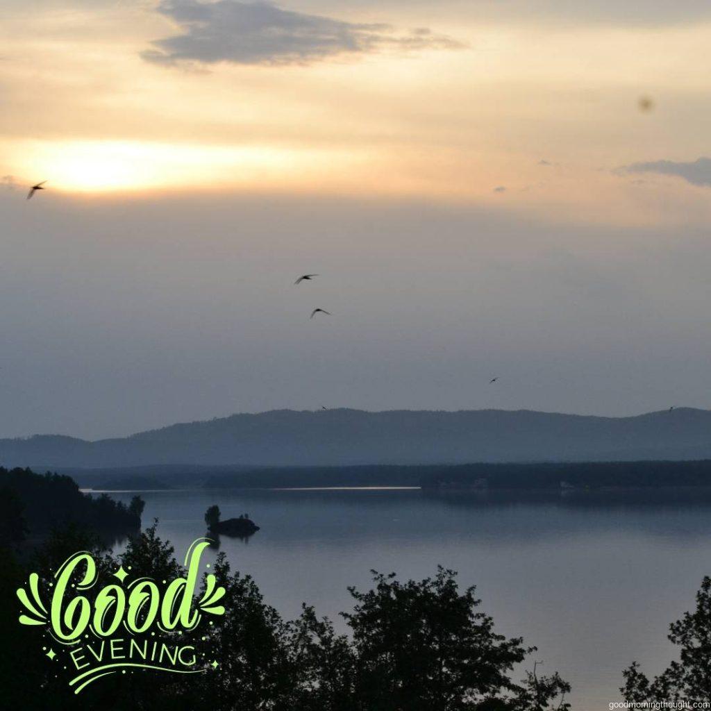 Good evening view with river, birds and tree